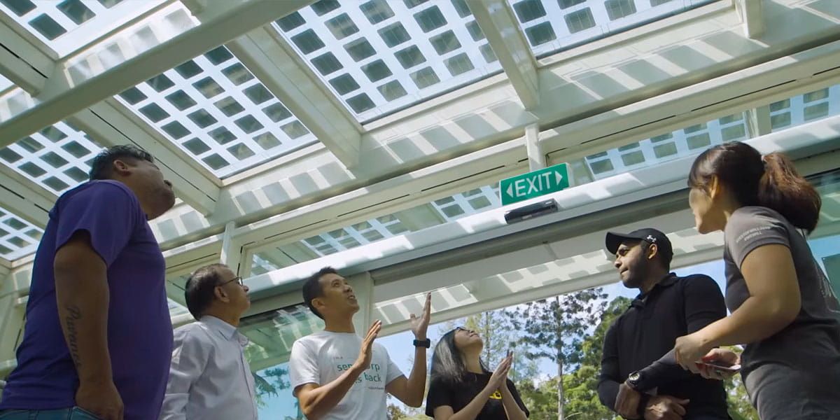 Detalles interiores del lucernario del Jardín Nacional de Orquídeas construido con vidrio fotovoltaico de silicio amorfo fabricado por Onyx Solar